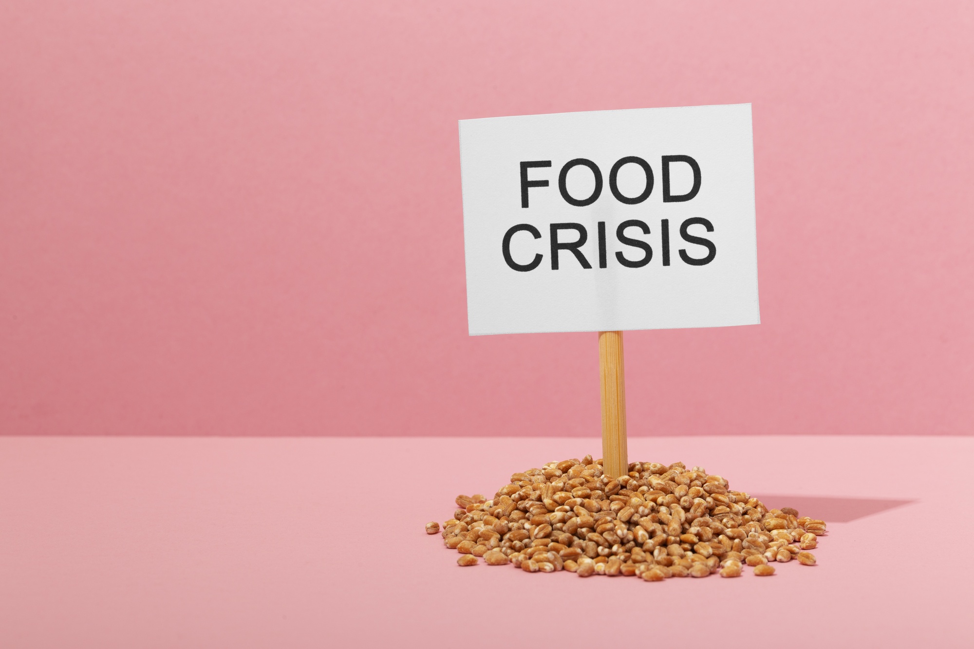 Pakistan’s food crisis sits between imports, climate shocks, and broken markets