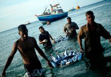 Engro, WWF enter into partnership for fishery development