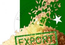 Basmati rice worth $540.231m exported