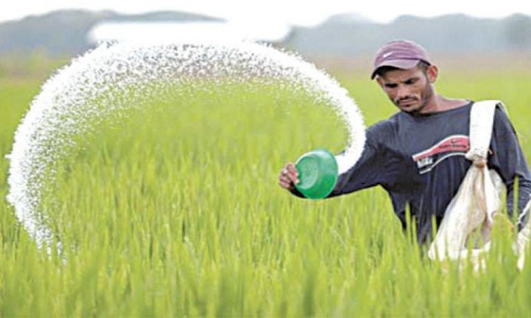 ECC allows 300,000 tons of urea export
