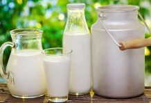 Belarusian region proposes to export dairy to Pakistan