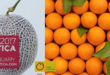 Pakistan pockets $2m worth of import orders at Fruit Logistica 2017