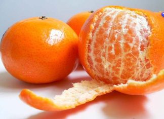 Pakistan targets $110 million from kinnow exports as new season begins with 6,000 tons shipped