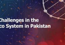 Only 6 out of 723 startups in Pakistan raised funds beyond $500,000