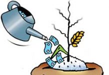 Govt releases second tranche of subsidy on fertilizers