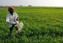Urea prices to rise further, if govt doesn’t release subsidies