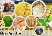 USAID, Punjab govt inaugurate Punjab Agriculture Commission’s Secretariat