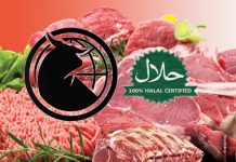 Govt should take steps to boost export of halal meat