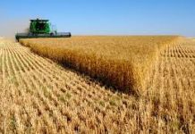 Cooperative farming touted as key to food security and economic growth