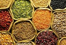 Pakistan’s pulse imports hit record levels amidst local production shortages