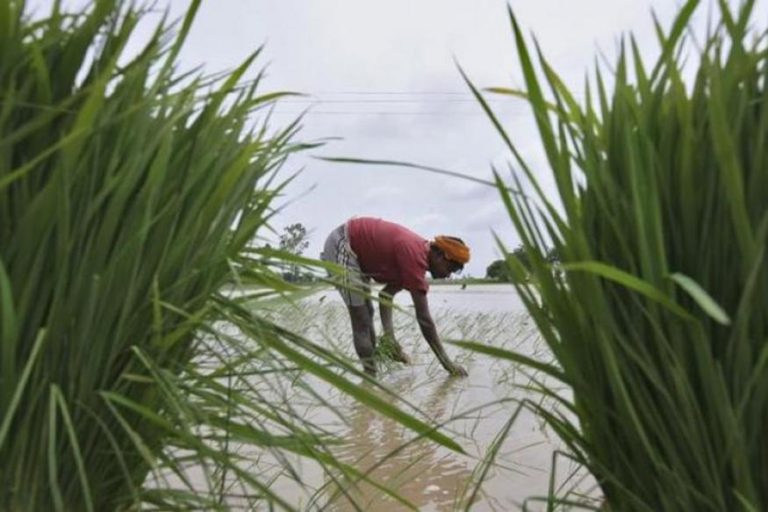 SCA urges govt to control price of agricultural inputs SCA urges govt to control price of agricultural inputs