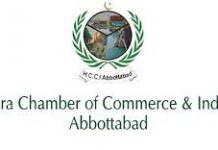 Pakistan to become Asian tiger under leadership of PM: President HCCI