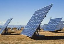 Reon launches 1 MW Solar project at Service Shoe Industries