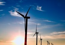 German companies express interest to invest in wind energy
