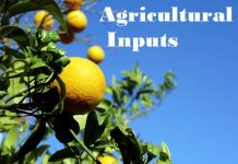 Punjab government wants GST abolished on agricultural inputs in upcoming budget