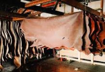 Pakistan Tanners Association urges govt to withdraw duty on raw material import