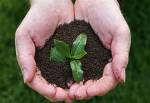 Pakistan receives automatic tea-processing plant from Turkey