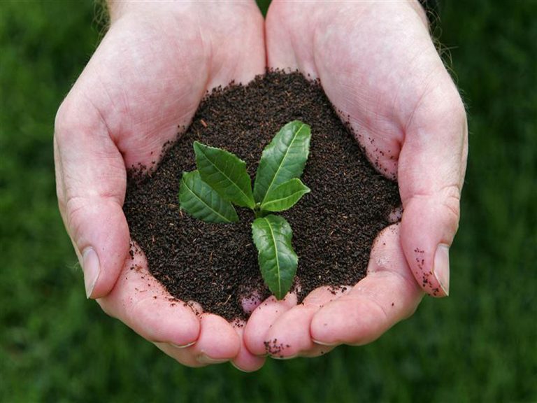 Pakistan retains top position as world’s largest importer of Kenyan tea