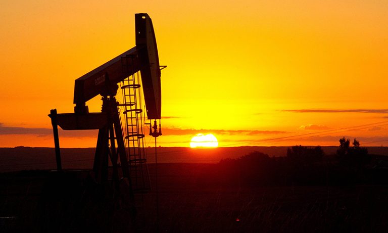 Oil sales record 12pc increase annually