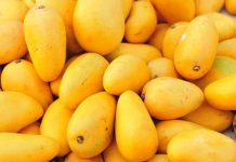 Export target of mangoes set at 100,000 tons for the year