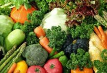 FPCCI stresses need for value addition in horticulture sector