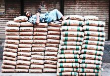 APCMA voices concern over fall in cement demand