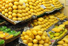 USAID distributes mango graders worth $750,000 to farmers