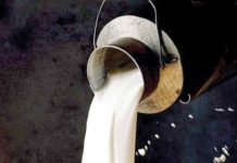 Pakistan Dairy Association urges govt to cut 18% GST on packaged milk