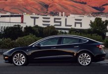 Tesla cuts China car prices to absorb hit from trade war tariffs