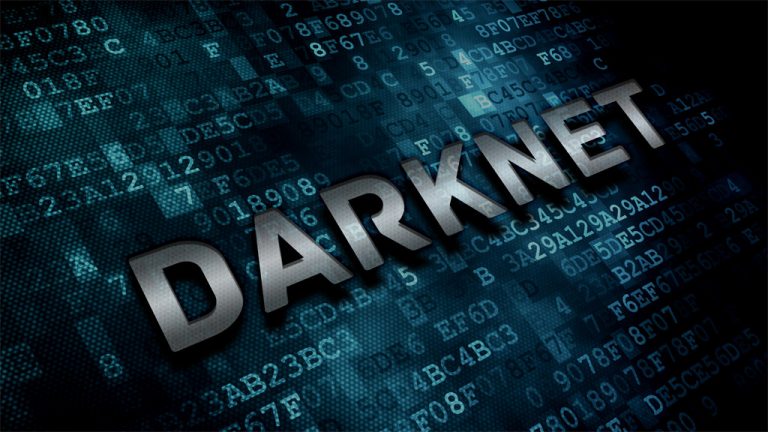 Why was the darknet website Alphabay taken down?