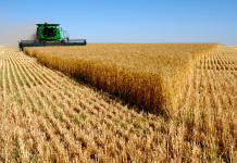 WB declares progress of $170m Sindh agricultural growth programme unsatisfactory