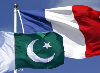 Pakistan, France explore investment opportunities in minerals sector through high-level webinar