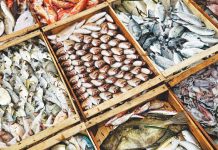 US team inspects quality of fishing boats to reopen shrimp imports from Pakistan