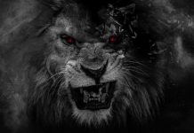 Jazz going in for the kill