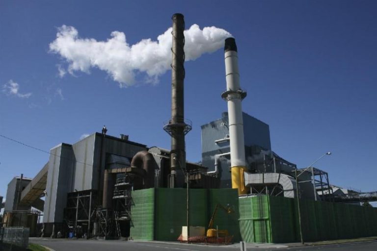 Economists suggest ways to end sugar cartelisation   