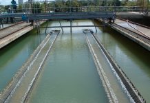 Water shortage to persist, hit upcoming Rabi season