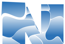 Netsol reports surge in profits of 513pc for FY 2016-17