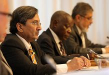 Commerce minister sees huge potential in trade with Africa