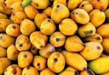 Fruits worth $19.493m, vegetables $10.330m were exported in July