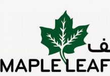 Maple Leaf Cement’s 40MW coal-fired power plant starts production