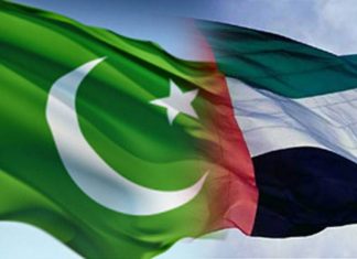 UAE introduces major visa reforms for Pakistanis, processes 500 applications daily