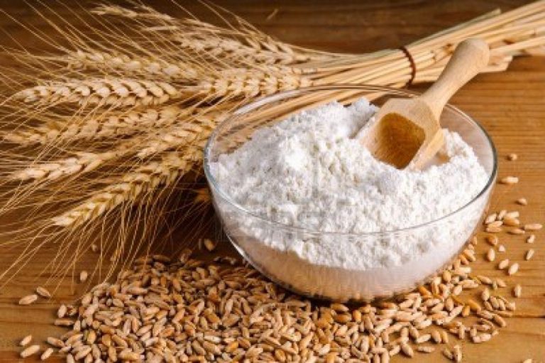 Govt allows export of flour made from imported wheat 