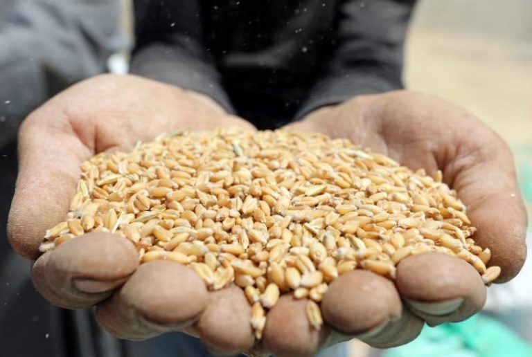 Punjab govt spent hefty amount for increasing yields: DC