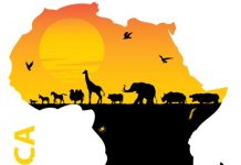 Pakistan decides to enhance relationship with African countries