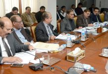 Head of power sector entities asked to ensure timely completion of ongoing projects