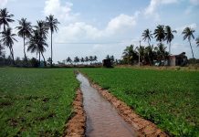 Water availability for Rabi crops at risk due to delayed infrastructure projects: report