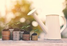 NSS mobilises savings worth Rs3.27bn, down 86.4pc