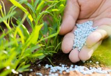 Non-payment of subsidy adding to fertilizer manufacturers’ woes