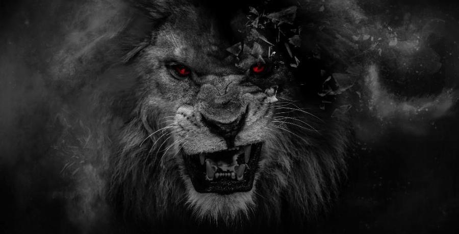  hd  photo hand painted wallpaper  lion  black and white 