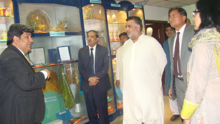 MoST appoints 35 officers of BS-17, 18 in violation of provincial quota